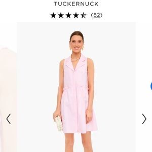 Tuckernuck Pink Oxford Sleeveless Royal Shirt Dress